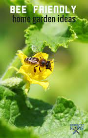 When planting to attract pollinators and bees, there are a few things that you want to keep in mind for the design of your bee friendly garden. Do Your Plants Need Pollinators How To Get More Garden Bees