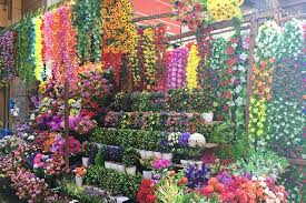 We did not find results for: Crawford Market Flower Market Lbb Mumbai