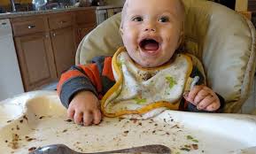 Costco barbacoa recipe with black beans