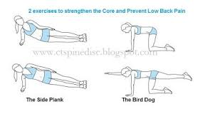 Pin On Exercises To Strengthen Lower Back Pain