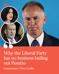 What are general tips for searching a fielded area along a river for  artifacts?