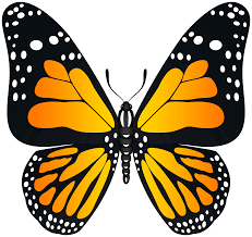 Maybe you would like to learn more about one of these? Orange Butterfly Transparent Png Image Gallery Yopriceville High Quality Images And Transparent Png Free Clipart
