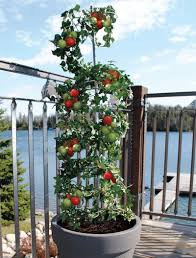 This vertical vegetable garden has space for deeper roots, allowing you to grow any veggies suitable for containers. 5 Vertical Vegetable Garden Ideas For Beginners