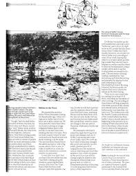 rendezvous with the Fourth Cavalry