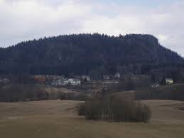 Skaugumåsen is also norway´s northernmost site where the protected mistletoe can be found. Skaugumsasen Wikipedia