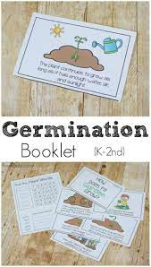Germination Or Life Cycle Of A Plant Booklet Royal Baloo Seed Germination For Kids Germination Plant Science