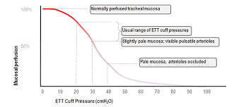 The Endotracheal Tube In Detail Deranged Physiology