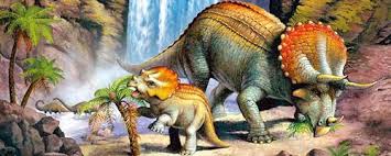 Картинки по запросу Фото трицератопса