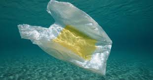 Major Retailers Are Backing These 9 Alternatives To Single Use Plastic Bags Greenbiz
