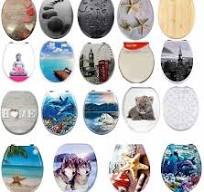 Toilet Seat Resin MDF Novelty Design Toilet Seats Strong Silver Hinges  Bathroom