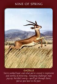 Being Prepared For Any Challenge Prevailing After Setbacks Protecting Your Interests You Re So Clos In 2020 Animal Tarot Animal Tarot Cards Angel Cards Reading