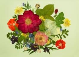 Unless looking at these how to dry flowers methods, you may need to immediately dispose of your fresh flowers once they start shriveling. Learn How To Dry Flowers Fast Flowers By Leslie Portsmouth Nh