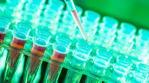 Myasthaenia gravis (mg) is an autoimmune disease involving the postsynaptic receptors in the neuromuscular junction. Aisha I Abdullah Phd Author At Myasthenia Gravis News
