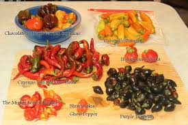 Get a table or area reserved for you and your rabble 7 nights a week. A Tribute To The Mighty Scotch Bonnet Part 1 Fermented Hot Sauce Knowledge And Praxis