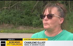 oneBURGH Bear: Shout out to Charlene Elliot, a nurse at St. Andrews Village  (Senor Living) in Indiana. A male black bear broke through a window and  entered the facility last night. Charlene