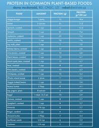 How Much Protein Is Too Much Plant Based Eating Protein