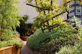 The best projects featuring rooftop gardens, including a steeply stepped roof in london covered in ten lush rooftop gardens that serve as tranquil oases above the city. Why We Design Rooftop Gardens Not Just Green Roofs Articles Bent Architecture