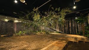 pin by sc huang on 展 plants road structures