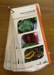 But it does take a little extra savvy to go through and break down how much you might be able to make from a portfolio. Printing Lingo What Are Flip Cards Formax Printing