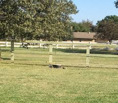 Align your own colors with the colors the simple truth is in the natural world all. Using A Split Rail Fence To Create A Garden Focal Point Philip S Fences
