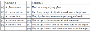 A point on principal axis of lens where all rays of light parallel to the principal axis meets or appear to meet. Ncert Solutions Class 7 Science Chapter 15 Light