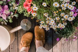 Both will be able to. How Much Water Do Annual Flowers Need