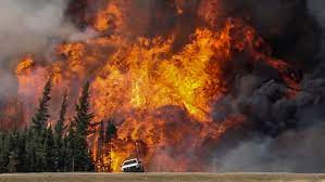 Family lost homes to both fort mcmurray and b.c. Mixed Messages Plagued Early Response To Fort Mcmurray Wildfire Municipal Review Concludes Cbc News