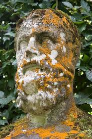 Lichen And Moss Covered Statue Chatsworth House Gardens Statue Chatsworth House Moss Garden