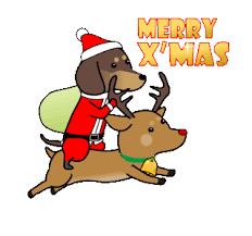 In this special my magic pet morphle christmas cartoon 'my magic dog solves the christmas crime', morphle transforms into a. Gif Image Popular Merry Christmas Dog Animated Gif