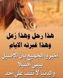 رواه أبو داود والترمذي وابن ماجه والحاكم، وقال: Ù†Ø¨Ø¶ A Ù‚Ù„Ø¨ÙŠ Ø¹Ù„Ù‰ ØªÙˆÙŠØªØ± Ø³ÙŠØ¯Ù†Ø§ Ø§Ù„Ù†Ø¨ÙŠ ØµÙ„ÙŠ Ø§Ù„Ù„Ù‡ Ø¹Ù„ÙŠÙ‡ ÙˆØ³Ù„Ù… Ù‚Ø§Ù„ Ø§Ù„Ù†Ø§Ø³ Ù…Ø¹Ø§Ø¯Ù† Ù…Ø¹Ù†ÙŠ Ø°Ù„Ùƒ ÙÙŠÙ‡ Ø§Ù„Ù„ÙŠ Ù…Ø¹Ø¯Ù†Ù‡ Ø°Ù‡Ø¨ Ù„Ø§ ÙŠØªØ§Ø«Ø± Ø­ØªÙŠ ÙˆÙ„Ùˆ ÙˆÙ‚Ø¹ ÙÙŠ Ø§Ù„ØªØ±Ø§Ø¨ ÙˆÙÙŠÙ‡ Ø§Ù„Ù„ÙŠ Ø²ÙŠ Ø§Ù„ØµÙÙŠØ­