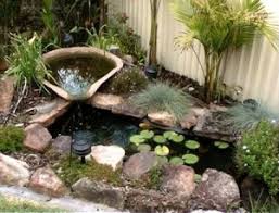 To introduce koi into other types of water features is usually a disaster waiting to happen and though one can get away with it for awhile, the end result is predictable. 100 150 200 And 300 Gallon Small Koi Pond The Ultimate Guide Pond Wiki