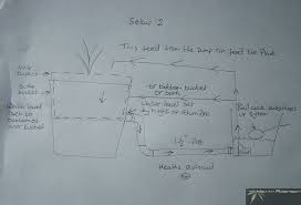 Diy Deep Water Culture The Recirculating Oxygen System Best Seed Bank