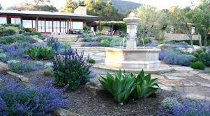 Chris Cullen Of Montecito Landscape Refine A Santa Barbara Garden With A French Lime Drought Tolerant Landscape Design Garden Design Drought Tolerant Landscape