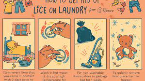 How To Wash Laundry Infested With Lice