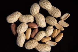Devenir Allergique Apres Une Greffe D Organe Ou De Moelle Osseuse Realites Biomedicales