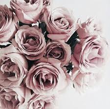 Pinterest Urbanpinterest1 Rozen Wallpaper Achtergronden Bloemen