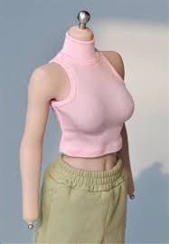 1/6 Scale Female Clothes,Female Tight T-Shirt High Collar Tank Top Costume Outfit Clothing for 12inch Female Action Figure Body (Pink)