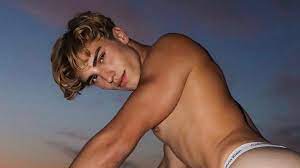 Ex-DSDS-Kandidat Valentin Mehinagic erfolgreich auf OnlyFans | Promiflash