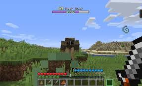 Popular this week popular this month most viewed most recent. Download Age Of Exile Mod For Minecraft 1 16 5 For Free Guide Minecraft Com