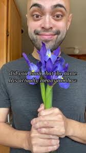 Sorry I missed last week, it was a busy time! Welcome back to Flower  Fridays! Today's featured guest, Iris. Its origin goes back to the Greek  and ancient Egyptians. The iris's history is rich, dating ...