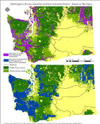 We did not find results for: Private Forest Landownership In Washington State Semantic Scholar