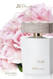 Rose Irisee Au Pays De La Fleur D Oranger Rose Irisee Perfume