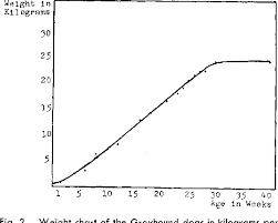 Figure 2 From Growth And Development Of The Normal Canine