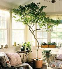 When The Greenery Goes A Lil Crazy That S A Good Thing Indoor Pflanzen Dekor Pflanzen Dekor Und Indoor Garten