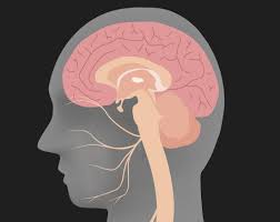 This has been found practically correct. Hemifacial Spasm Types Symptoms And Causes