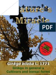 They share the art with the thanksgiving trees that were renamed and given new descriptions. Nature S Miracle Ginkgo Biloba Book 1 Vol 1 2 B M Begovic Bego Plants Botany