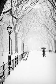 Black And White Nyc Photo The Mall 8x12 B Photo Central Park New York City Urban Nyc Snow Storm Black White Winter Winter Scenes Bw Photo Snowy Day