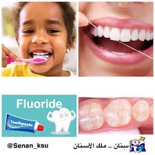 سِنان..ملك الأسنان (@Senan_ksu)