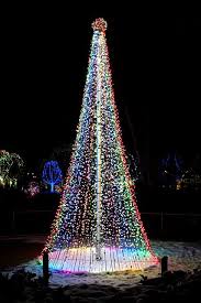 Wildlights 2010 Amazing Christmas Trees Diy Christmas Decorations Easy Holiday Lights Display