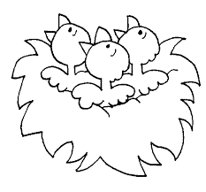 The plans can be used to attract either western or eastern bluebirds. Bird S Nest Coloring Page Coloringcrew Com